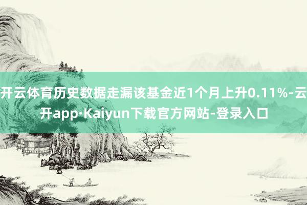 开云体育历史数据走漏该基金近1个月上升0.11%-云开app·Kaiyun下载官方网站-登录入口