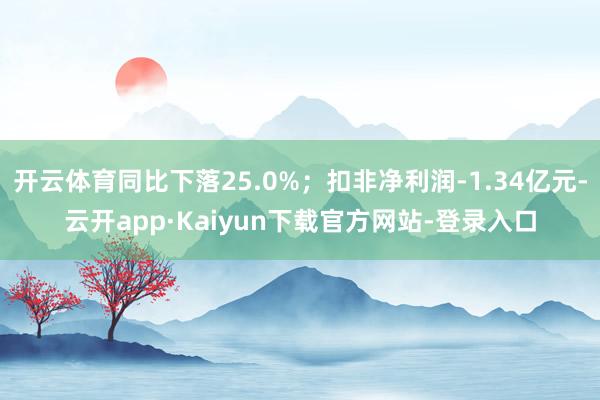 开云体育同比下落25.0%；扣非净利润-1.34亿元-云开app·Kaiyun下载官方网站-登录入口