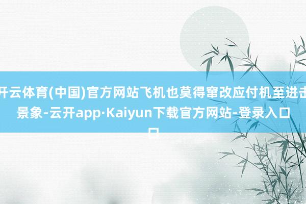 开云体育(中国)官方网站飞机也莫得窜改应付机至进击景象-云开app·Kaiyun下载官方网站-登录入口