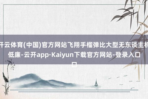 开云体育(中国)官方网站飞翔手榴弹比大型无东谈主机低廉-云开app·Kaiyun下载官方网站-登录入口